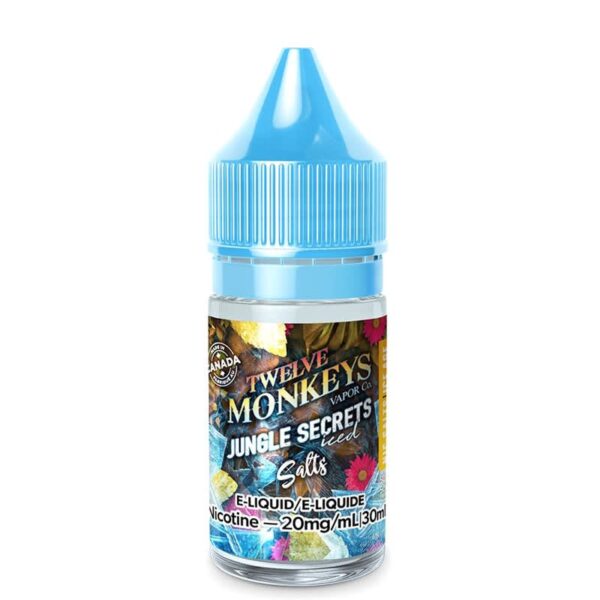 TWELVE MONKEYS ICE AGE SALTS – JUNGLE SECRETS ICED SALT NIC- 20MG